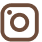 instagram-icon